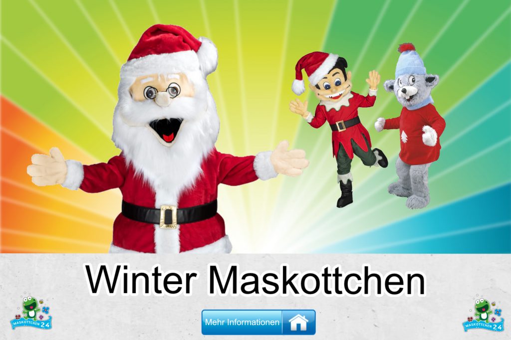 Winter-Kostueme-Maskottchen-Karneval-Produktion-Firma-Bau